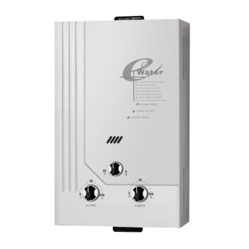 Flue Type Instant Gas Water Heater/Gas Geyser/Gas Boiler (SZ-RS-110)